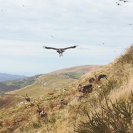 La Pasiega San Roque de Ríomiera Zewnętrze zdjęcie
