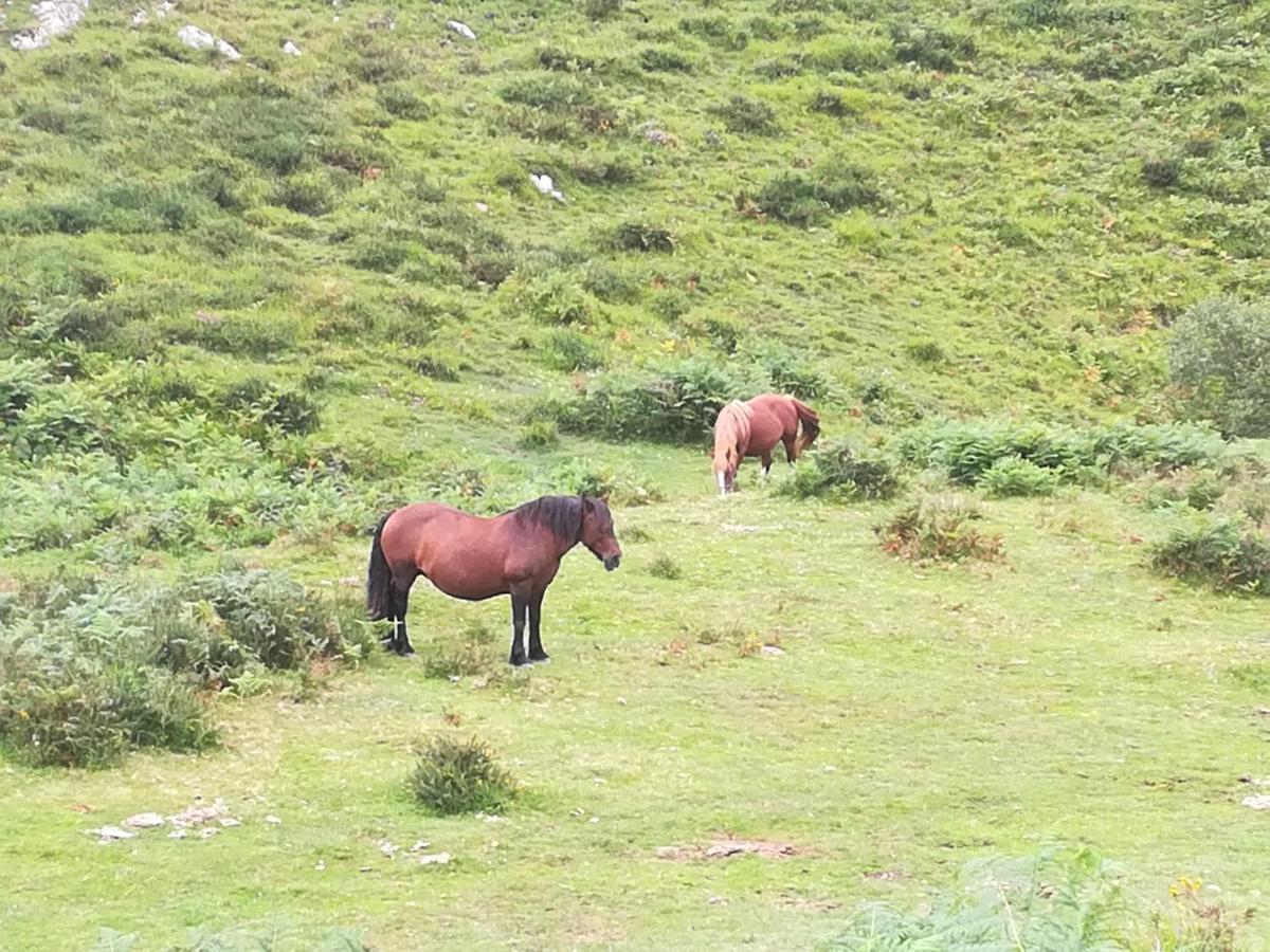 La Pasiega San Roque de Ríomiera Zewnętrze zdjęcie