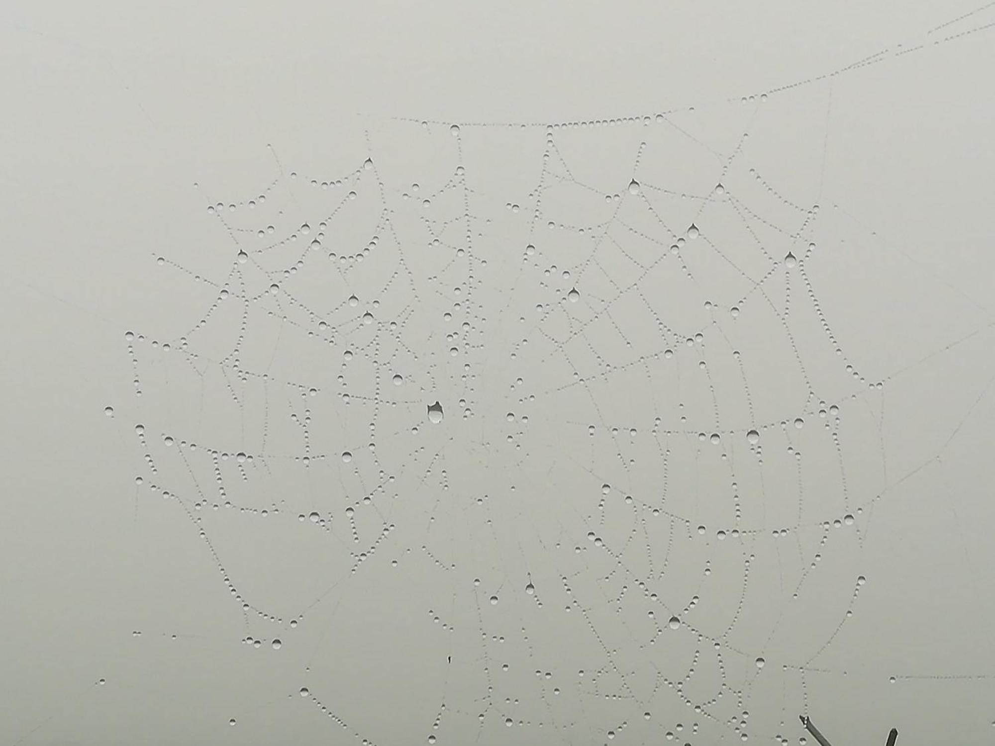 La Pasiega San Roque de Ríomiera Zewnętrze zdjęcie